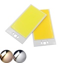 30W LED COB Light Module 120*65mm DC 12V 2500mA Warm White/ White 